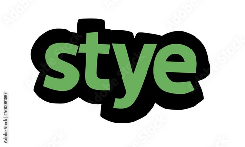 STYE writing graffiti design on white background