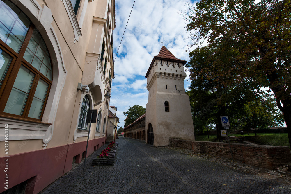 The Carpenter s Tower in Sibiu 20