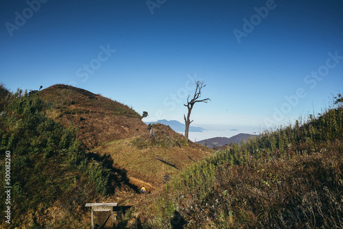 trekking on the top of the LaoThan mountain, YTy, LaoCai, VietNam