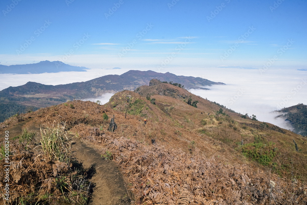 trekking on the top of the LaoThan mountain, YTy, LaoCai, VietNam trekking on the top of the LaoThan mountain, YTy, LaoCai, VietNam