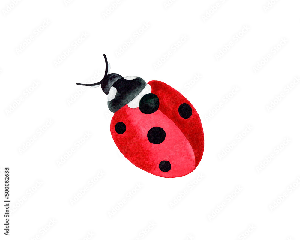 Hand painted watercolor illustration of a red ladybug insect. Isolated object on white background. Hand painted watercolor illustration of a red ladybug insect. Isolated object on white background.