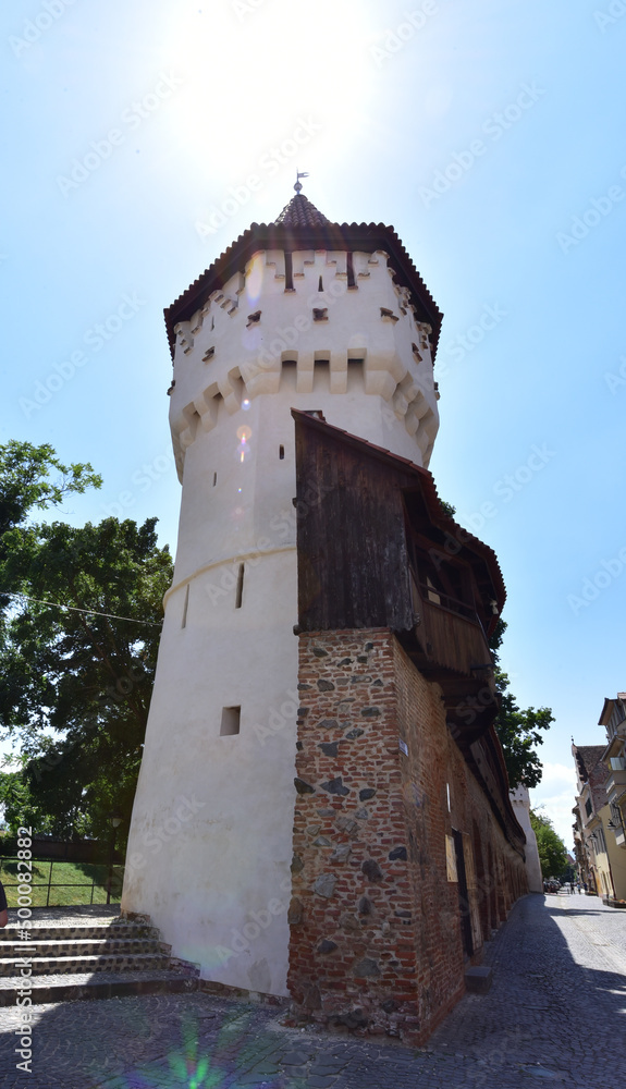 The Carpenter s Tower in Sibiu 3