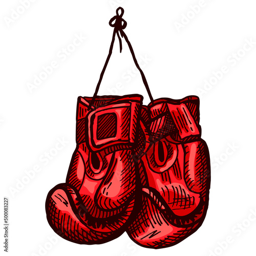 Red boxing gloves sketch hanging in isolated white background. Vintage sporting equipment for kickboxing in engraved style.