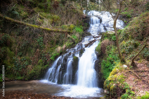 Fototapeta Naklejka Na Ścianę i Meble -  Cascade et son petit lac dans la forêt des Vosges. Photographie en pose lente pour une ambiance nature et relaxante.