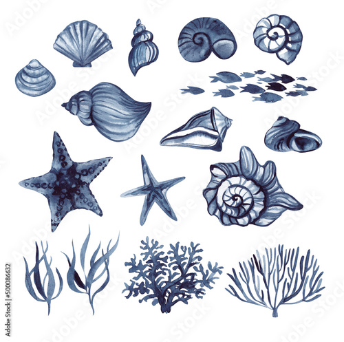 A set of watercolor drawings of algae, starfish, fish and shells of indigo color.