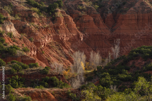 It's the end of autumn and a few trees still hold on to their fall color at Caprock Canyons State Park in Texas.