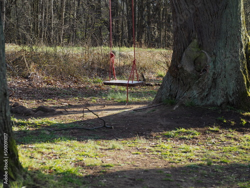 a swing that is attached to a tree branch. The swing is located on a hiking trail where anyone can swing