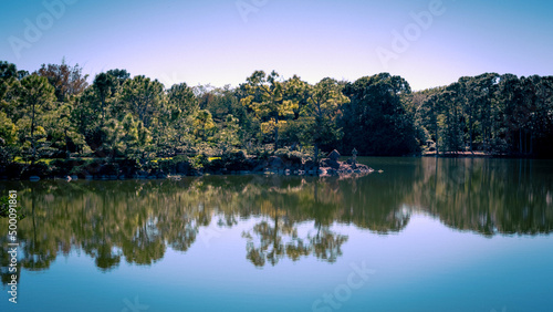 Japanese gardens, flowers, trees, water, sky