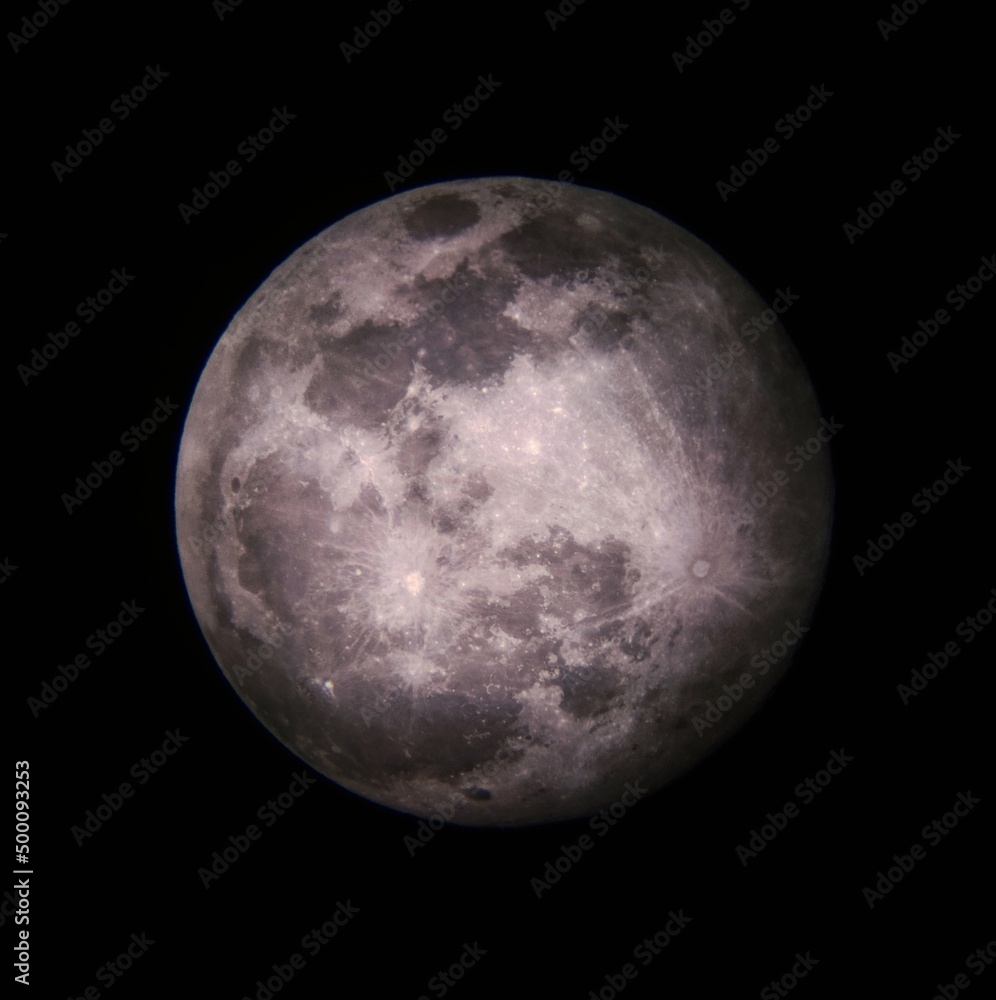 Obraz premium Pink Moon in April 2022