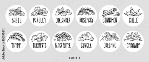 Vector set of stickers for spices.  basil, parsley, coriander, rosemary, cinnamon, chili, pepper, thyme, turmeric, black pepper, ginger, oregano, cumin, poppy, anise, garlic, dill, mustard, saffron, v
