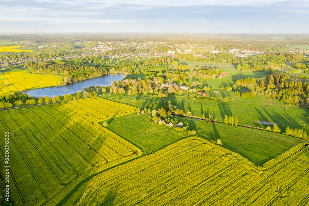 Fototapeta premium Rural Countryside Rapeseed Fields from Above in Sunny Spring Evening
