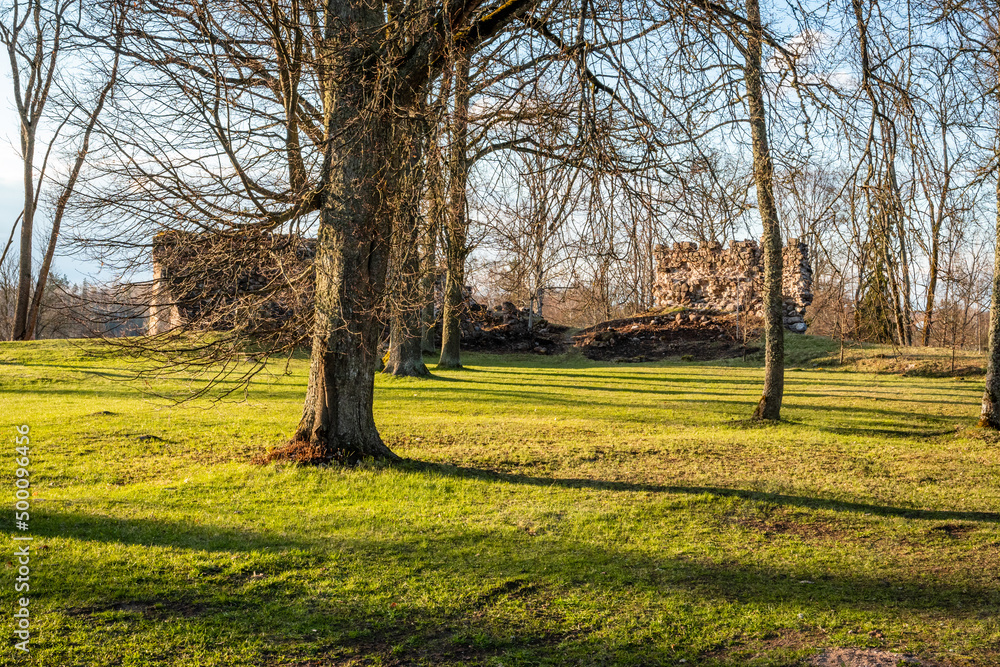 Castle Park with Stone Wall Ruins on Sunny Day with Green Grass Field