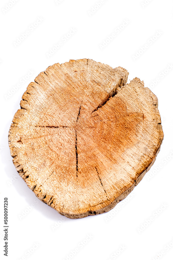 Wooden saw cut of a tree with a pronounced pattern of annual rings on a white background Wooden saw cut of a tree with a pronounced pattern of annual rings on a white background
