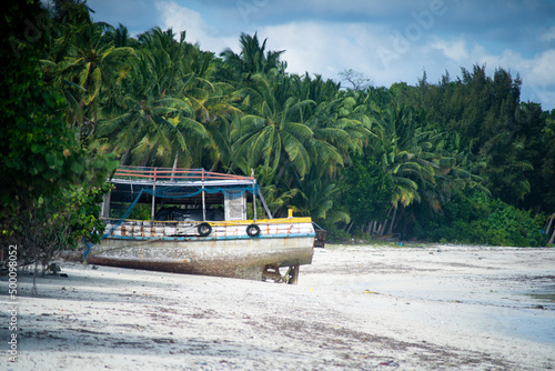 Fishing ship boat stranded on white sand beach with green coconut trees all around and tide coming in in havelock andaman nicobar havelock island India © Memories Over Mocha