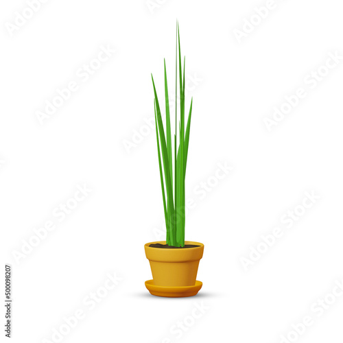 Green air purifying tree  planted clay pot isolated on white background. 3D Rendering  Illustration.