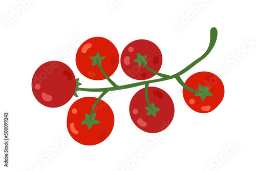 Vector red cherry tomatoes hanging on a branch. Healthy, natural food. Flat cartoon colorful illustration.