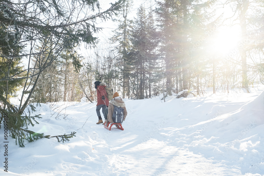 Long shot of young man pulling his girlfriend on sled in forest in local mountains on sunny winter day