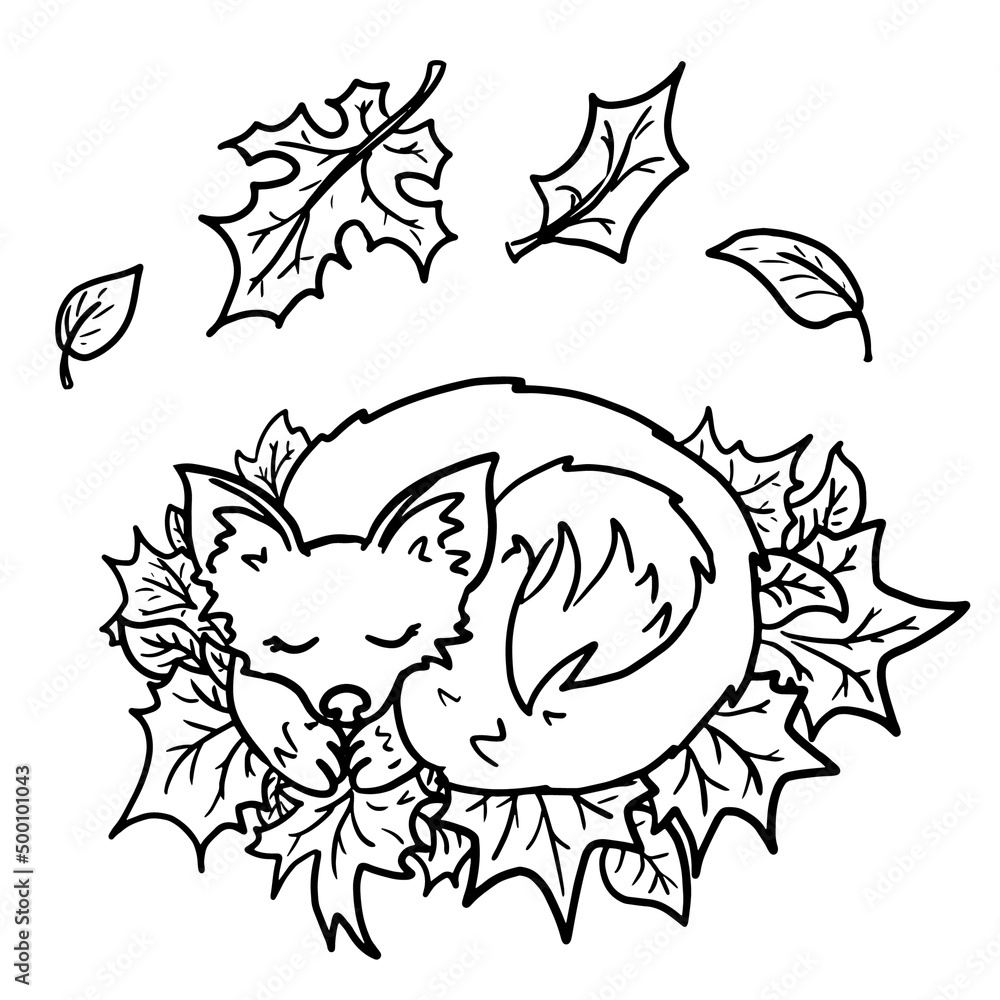 Sleeping fox vector illustration isolated on white background Sleeping fox vector illustration isolated on white background