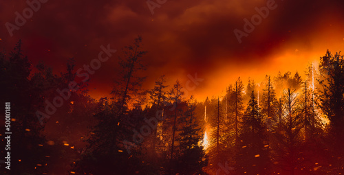Wildfire burning through a forest. high contrast image. Illustration with 3D Elements © fergregory