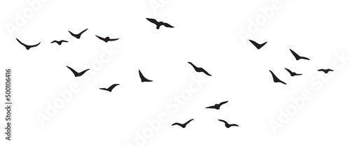 Canvas Print Flying Birds Group Vector Silhouette