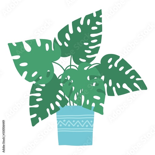 Tropical house plant pot. Ficus, monstera, protea, pellaea, succulent in various pot, vase. Scandinavian cozy home decor. Flat vector cartoon illustration isolated on white background photo