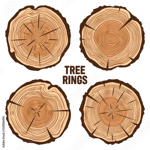 Round tree trunk cuts with cracks, sawn pine or oak slices, lumber. Saw cut timber, wood. Brown wooden texture with tree rings. Hand drawn sketch. Vector illustration