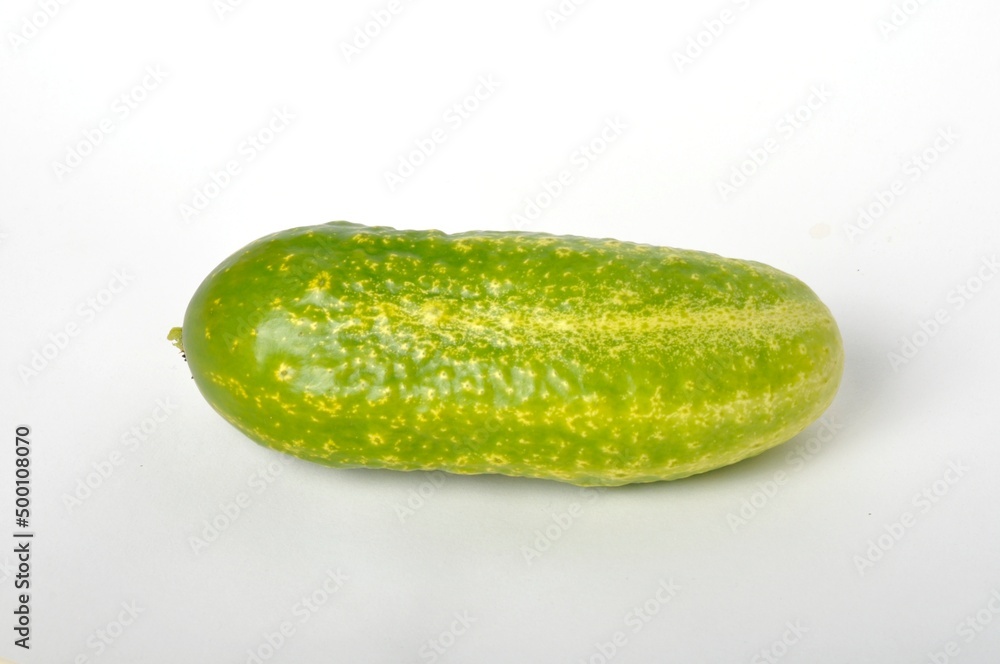 Small cucumber on a white background Small cucumber on a white background