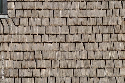 Mont Saint michel architectural wood roof