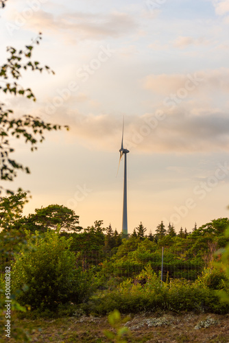 Wind power turbines in evening sunlight.