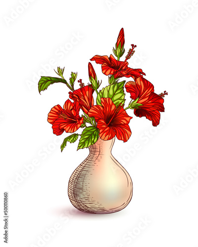 Hibiscus red flowers bouquet in vase. Vector illustration
