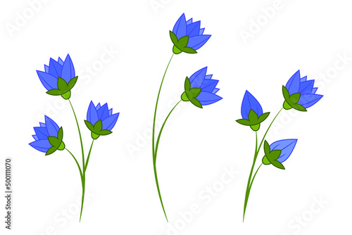 Blue flowers isolated on white background. Blue bells. Flat design.