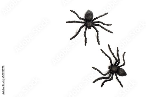 Two black rubber spider toys isolated on a white background with copy space. Fake black spider toys