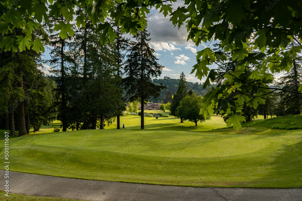 golf course in the evening