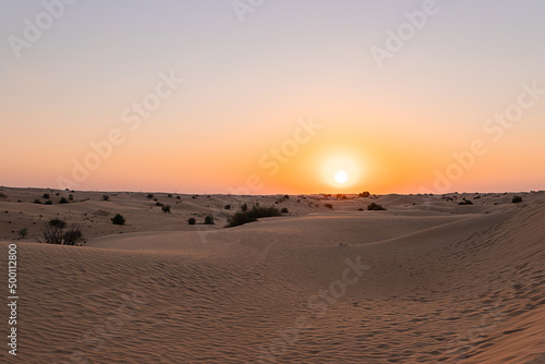 Desert sunset with empty dunes in Dubai or Abu Dhabi  United Arab Emirates