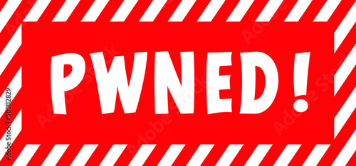 Have I been pwned or you have been hacked. Vector hacker, keylogger, cyber security concept. Technology data. Hybrid, and warfare, DDoS attack. Cyber war. Hackers, criminals. login and password. 