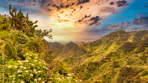 Tropical Mountains in Anaga Rural Park, Tenerife, Canary Islands,Spain. Travel and beauty of nature concept. photo