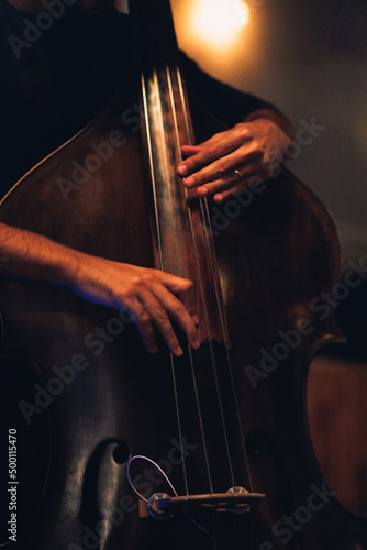 musician playing the 
acoustic bass