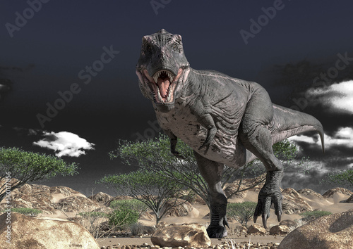 tyrannosaurus is walking alone on desert