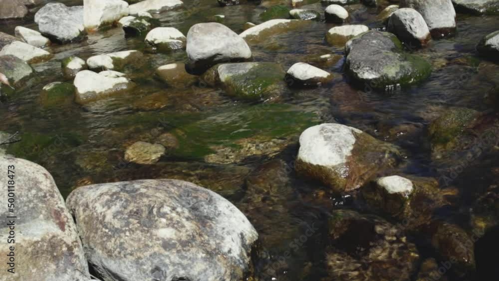 Clear Rocky Stream with Moss on Rock Under the Water Clear Rocky Stream with Moss on Rock Under the Water