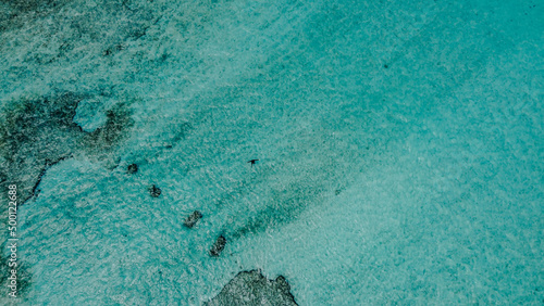 Aquarium, San Andrés