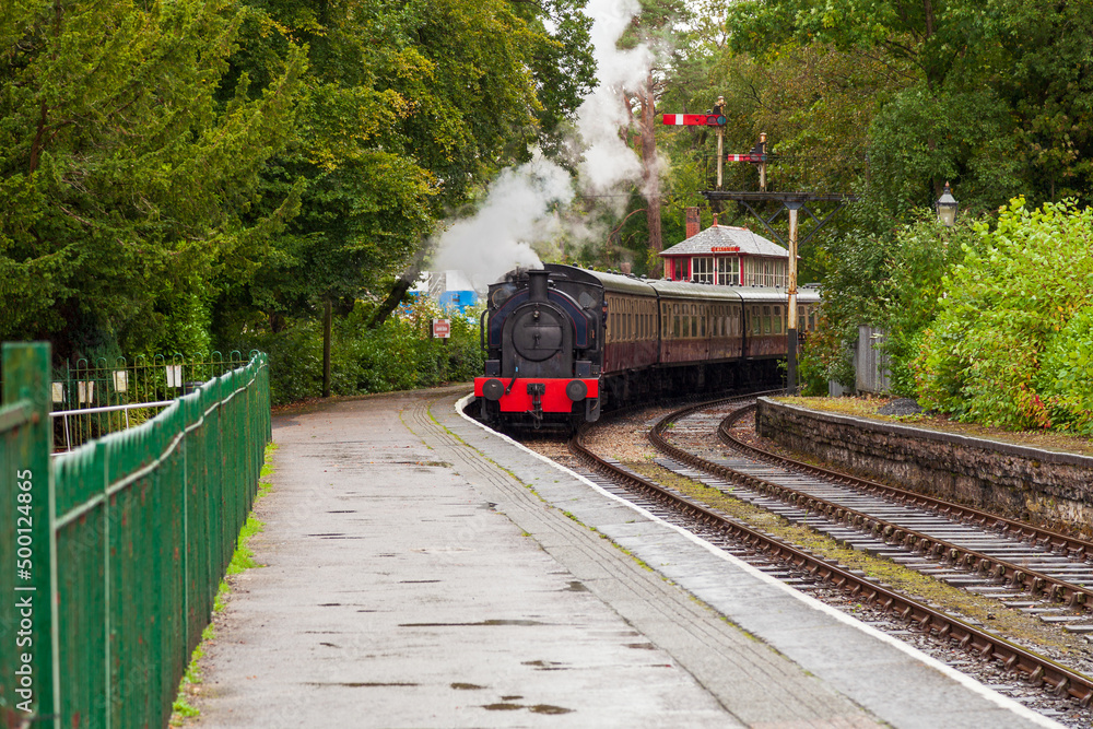 Fototapeta premium train in the countryside