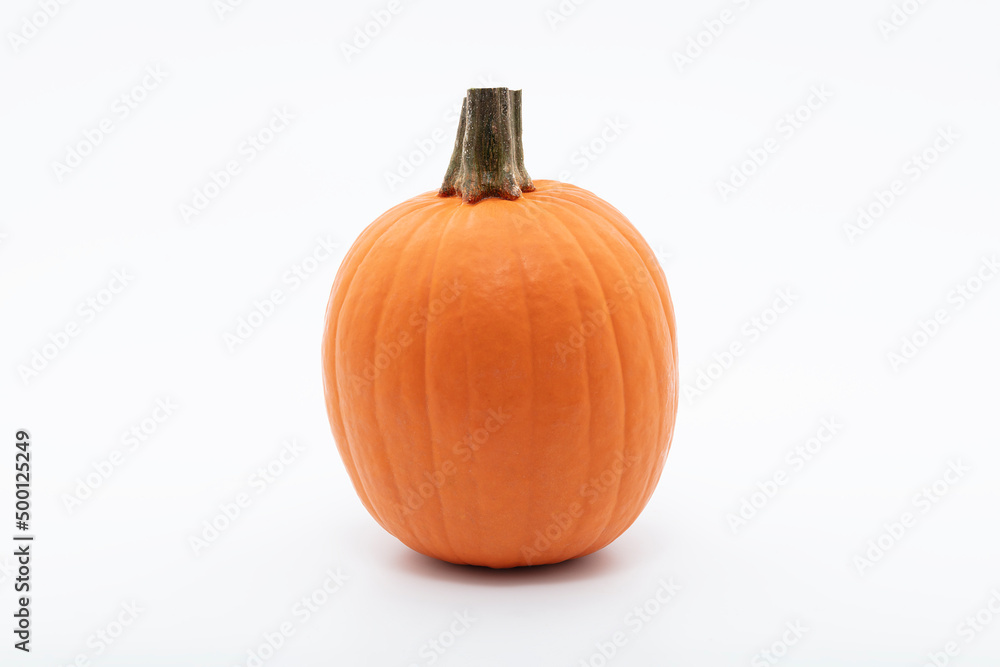 pumpkin pumpkin