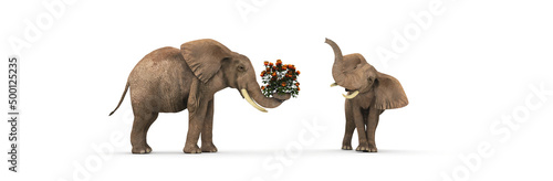 Photography love concept, an elephant giving flowers to an elephant