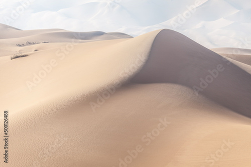 Fototapeta Naklejka Na Ścianę i Meble -  Foggy morning at the desert in United Arab Emirates. Sand dunes muted in color.