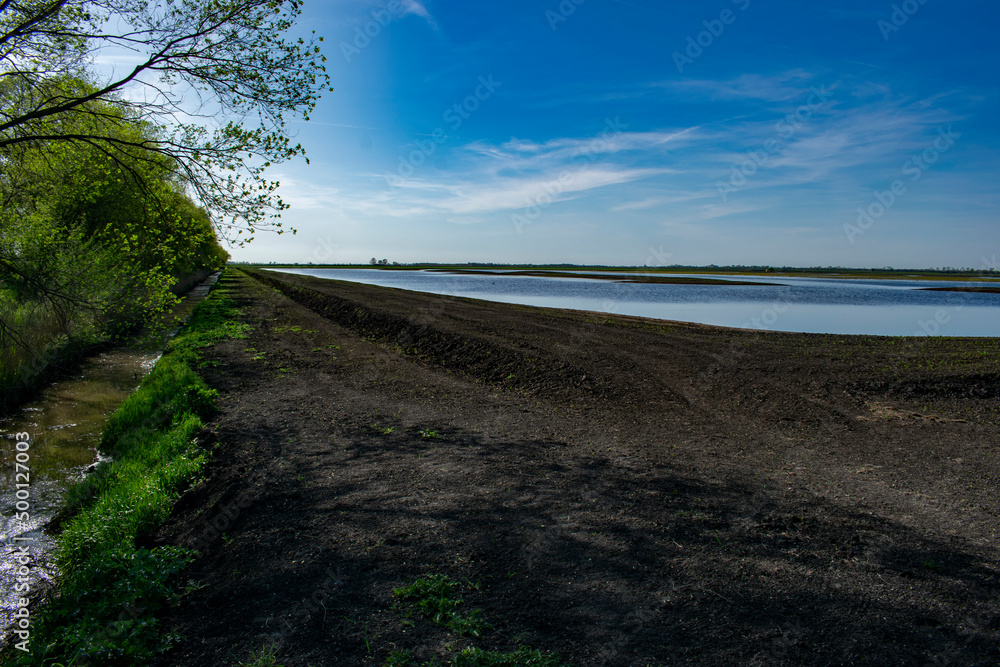 Fototapeta premium Valle del Mezzano - Comacchio