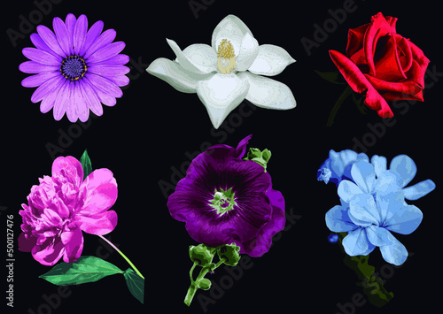 Set de ilustraciones de flores estilo acuarela
flores vectoriales elegante diseño floral verano, plantas