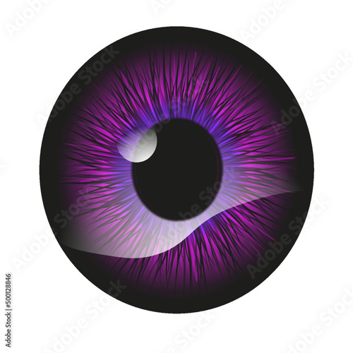 eyes, retina and purple pupil