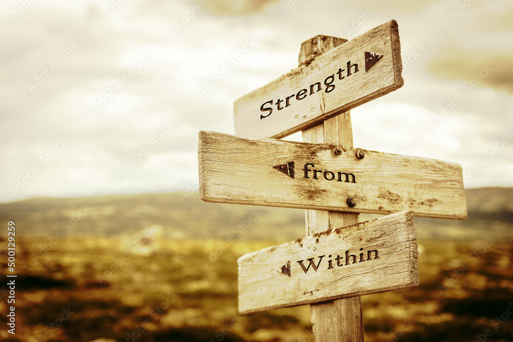 strength from within text quote written in wooden signpost outdoors in nature. Moody theme feeling. - obrazy, fototapety, plakaty 