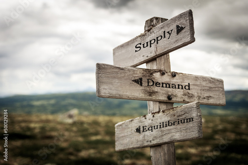 supply demand equilibrium text quote written in wooden signpost outdoors in nature. Moody theme feeling. photo