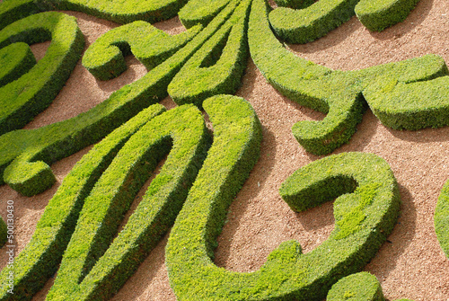Photography France- Paris- Overview of Beautifully Sculpted Hedges